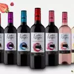 Vino Gato Negro