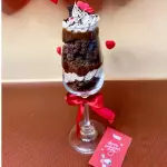 COPA DULCE TERAPIA