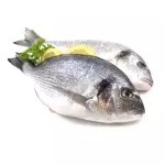 Dorada