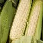 Elote Blanco