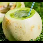 gin tonic de melon