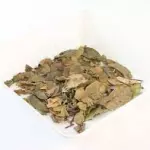 GRAVIOLA FOLHAS