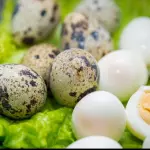 Adc huevos de codorniz