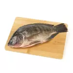 TILAPIA NEGRA