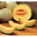 Melón