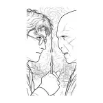 Clave: Harry Potter 8