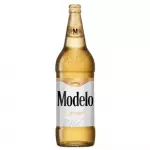 Caguamon Modelo Espacial