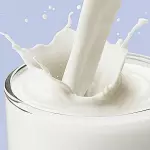 EN LECHE🥛