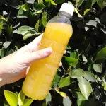 jugo  de Naranja