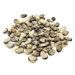 Chá Emburana 100g