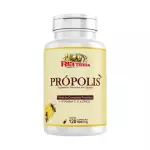 Própolis - Rei Terra 120c