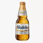 MODELO ESPECIAL