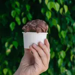 HELADO POTE PATAGONIA 500 CC