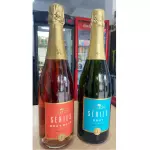 Espumantes Salton 750ML