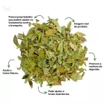 Sene Folhas - 20g