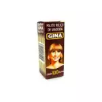 Palitos de dente Gina 100und