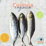 COJINUA