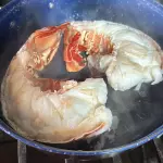 Langosta Caribeña