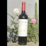 NIETO SENETINER D.O.C MALBEC
