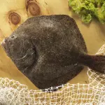 Rodaballo
