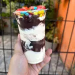 acai copo 500ml