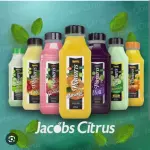 Sucos Integrais 500Ml