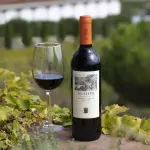 Botella Vino