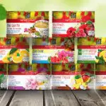 TÉ E INFUSIONES