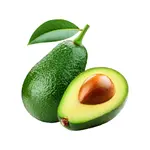 Abacate fortuna 0,500G