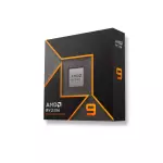 AMD RYZEN 9 9900X3D