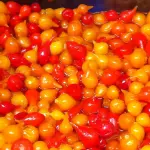 PIMENTA BIQUINHO EM CONSERVA