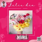 Box Rosas