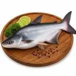 BASSA ENTERA