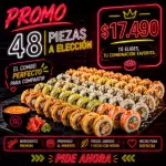 48 piezas a elección