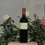 ANGELICA ZAPATA ALTA MALBEC