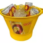 skol 269ml