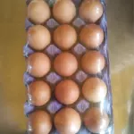 Meia Cartela Ovo Vermelho - Tipo A