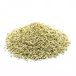 Quinoa