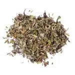Artemisia 100g