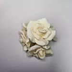 Rosas Blancas
