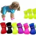 Zapatos Mascotas Impermeable Talla S