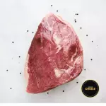 CULOTTE ANGUS