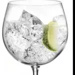 GIN TONIC BOMBAY