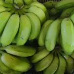 Banana prata verde - Néia