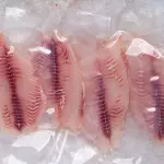 FILETE DE TILAPIA SIN AGUA AL BACIO