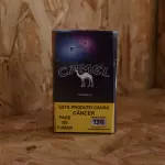 Camel Double Mint Purpple