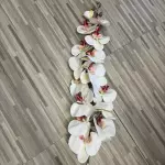 FLORES 0166A-6