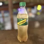 GINGER