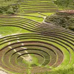 MARAS - MORAY