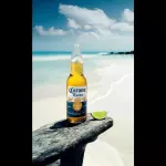 cerveza corona 355 ml
